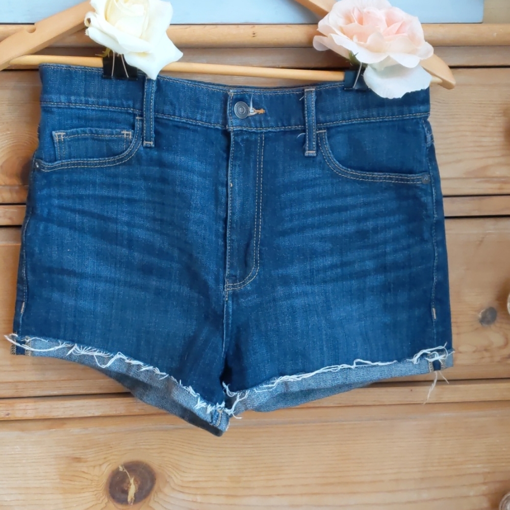 Abercrombie and Fitch Shorts Size 28